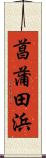 菖蒲田浜 Scroll