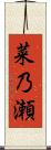 菜乃瀬 Scroll