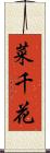 菜千花 Scroll