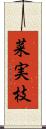 菜実枝 Scroll