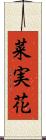 菜実花 Scroll