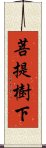 菩提樹下 Scroll