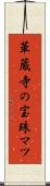 華蔵寺の宝珠マツ Scroll