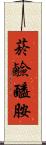 菸鹼醯胺 Scroll