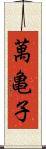 萬亀子 Scroll