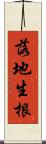 落地生根 Scroll