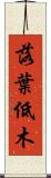 落葉低木 Scroll
