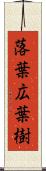 落葉広葉樹 Scroll