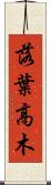 落葉高木 Scroll