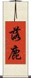 落鹿 Scroll