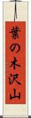 葉の木沢山 Scroll