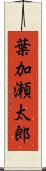 葉加瀬太郎 Scroll