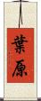 葉原 Scroll