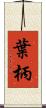 葉柄 Scroll