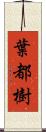 葉都樹 Scroll