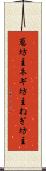 葱坊主 Scroll
