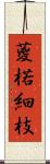 葼 Scroll
