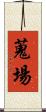 蒐場 Scroll