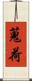 蒐荷 Scroll