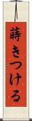 蒔きつける Scroll