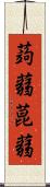蒟蒻 Scroll