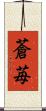 蒼苺 Scroll