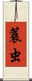蓑虫 Scroll