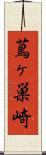 蔦ヶ巣崎 Scroll