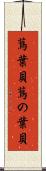 蔦葉貝 Scroll