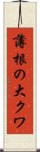 薄根の大クワ Scroll
