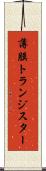 薄膜トランジスター Scroll