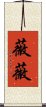 Vivi Scroll