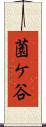 薗ケ谷 Scroll