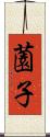 薗子 Scroll