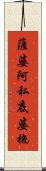 薩婆阿私底婆拖 Scroll