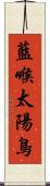 藍喉太陽鳥 Scroll