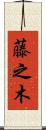 藤之木 Scroll