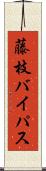 藤枝バイパス Scroll