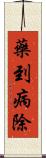 藥到病除 Scroll