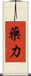 藥力 Scroll