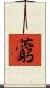 藭 Scroll