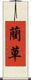 藺草 Scroll