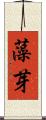 藻芽 Scroll