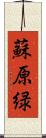蘇原緑 Scroll