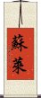 Surai Scroll