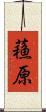蘓原 Scroll