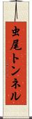 虫尾トンネル Scroll