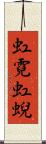 虹霓 Scroll