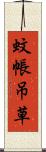 蚊帳吊草 Scroll