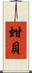 蚶貝 Scroll